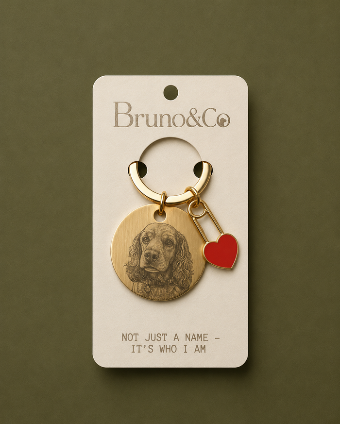 Placa Bruno & Co