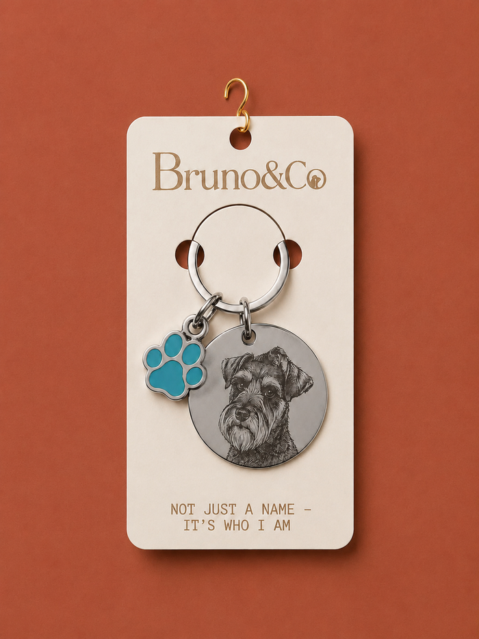 Placa Bruno & Co