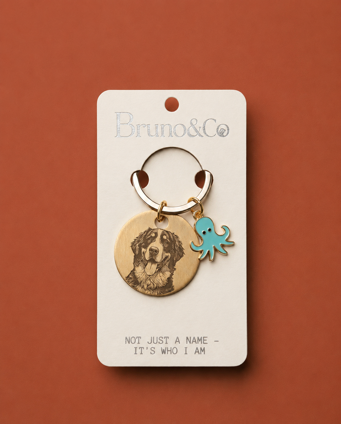 Placa Bruno & Co