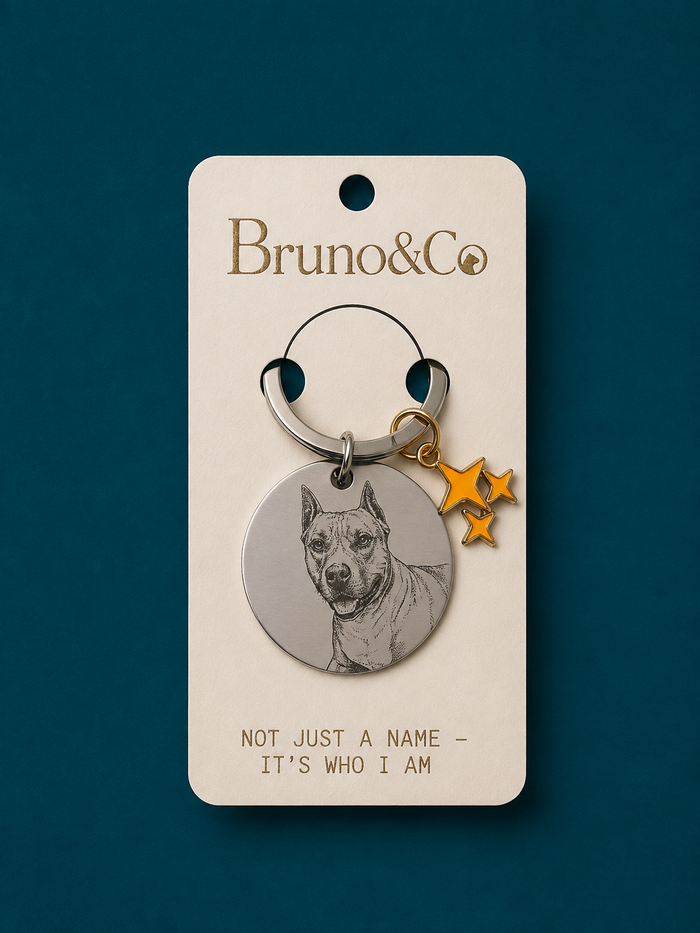 Placa Bruno & Co