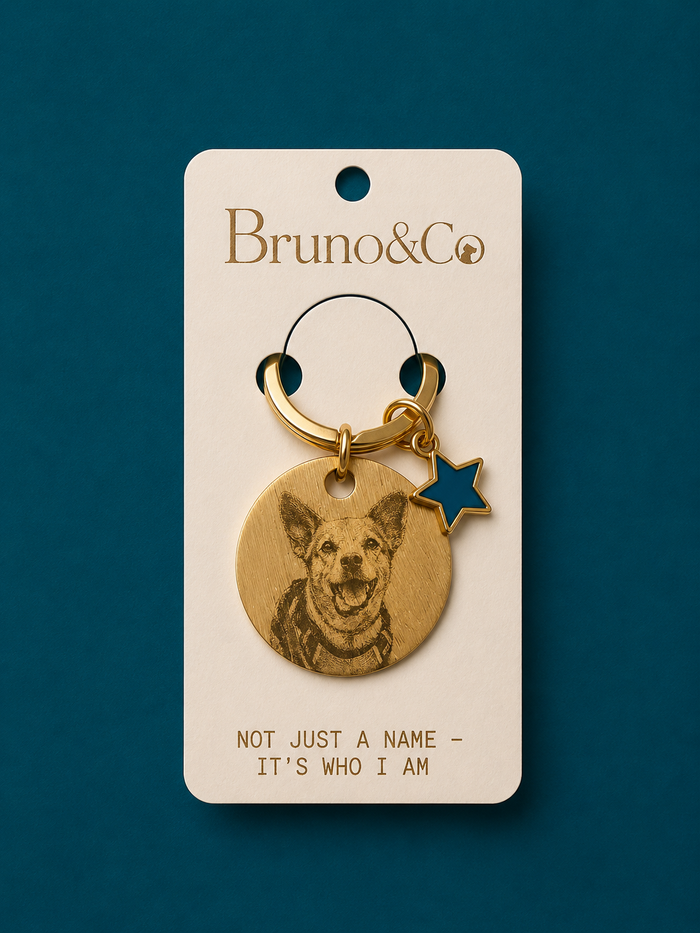 Placa Bruno & Co
